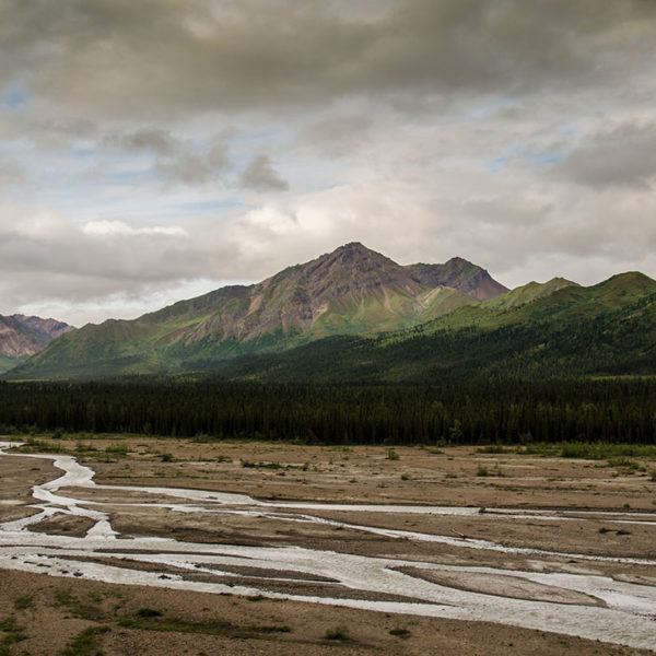 Denali mountains and braided rivers