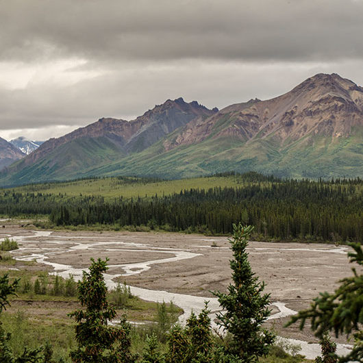 Denali braided rivers and mountains