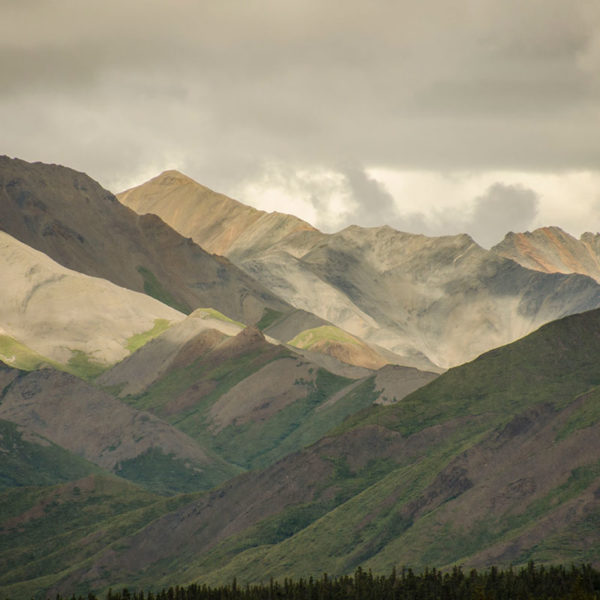 Denali landscape