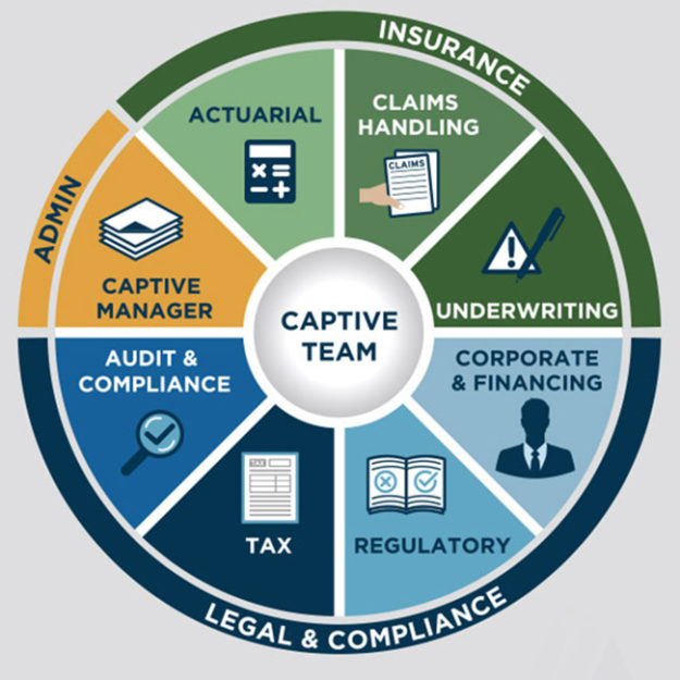 Capstone Editorial infographic illustration for book