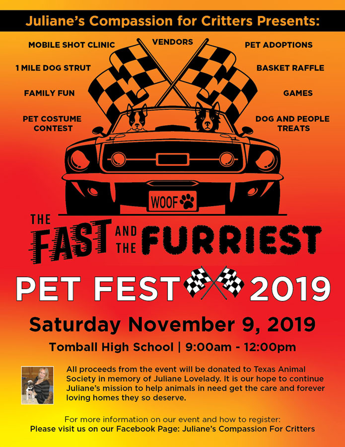 Fast and the Furriest event flyer - dogs riding in a sports car with racing flags