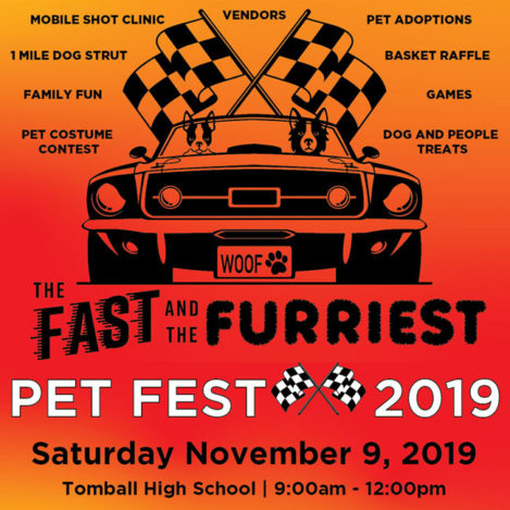 Fast and the Furriest Pet Fest flyer design - dogs riding in a sports car with racing flags