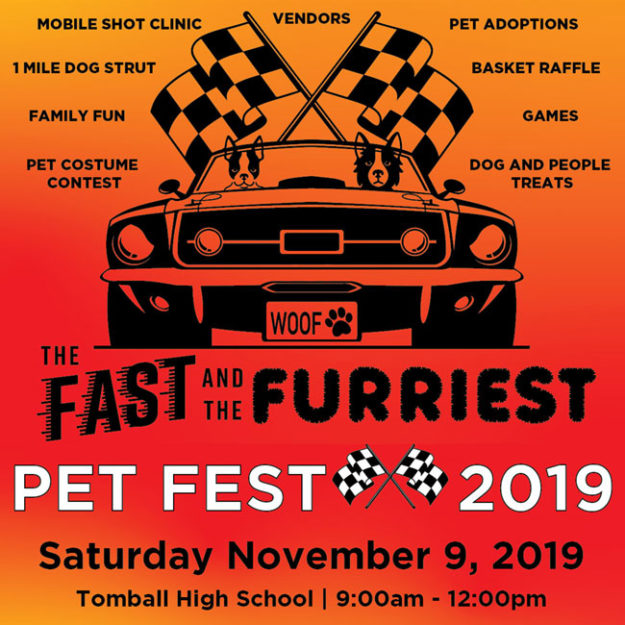 Fast and the Furriest Pet Fest flyer design - dogs riding in a sports car with racing flags