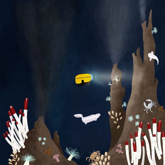 Hydrothermal vents illustration showing bottom of ocean with little yellow ROV exploring the marine life at the vents including tubeworms, crabs, anemones, clams, muscles, and fish
