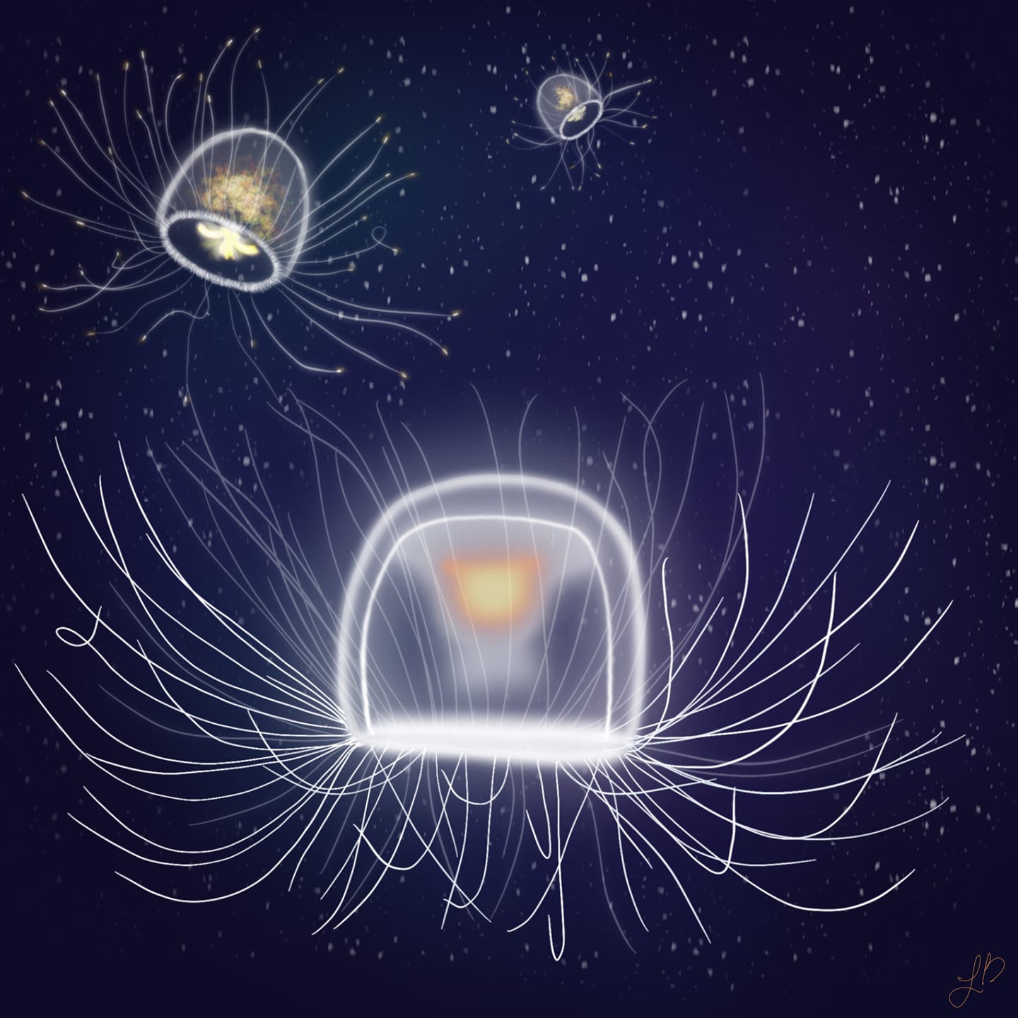 ocean twilight zone illustration of transparent jellyfish