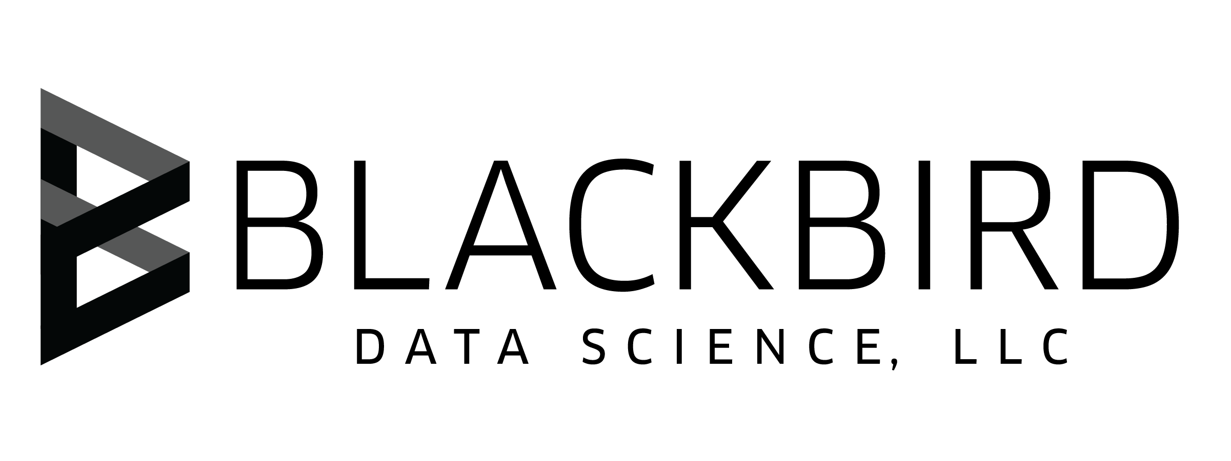 Blackbird Data Science logo design